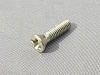 Carburettor Accelerator Pump Housing Screw