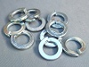 M12 Spring Washer - 10 Pack