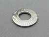 M8 Belleville Lock Washer, Stainless