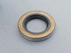Montecarlo Gearbox Input Shaft Seal
